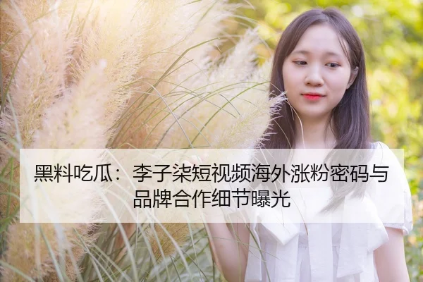 黑料吃瓜：李子柒短视频海外涨粉密码与品牌合作细节曝光